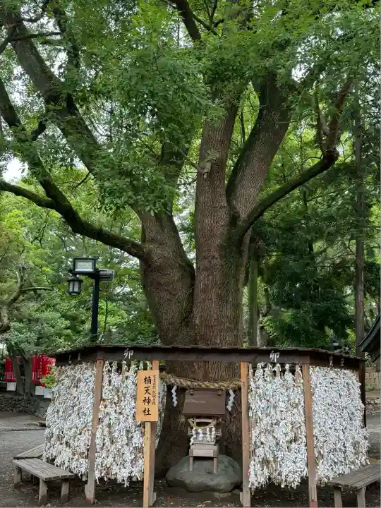 平塚八幡宮(神奈川県)