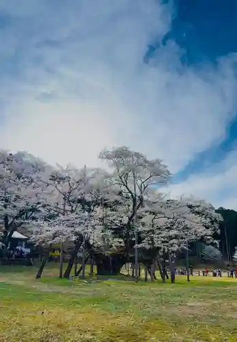 淡墨観音の御朱印