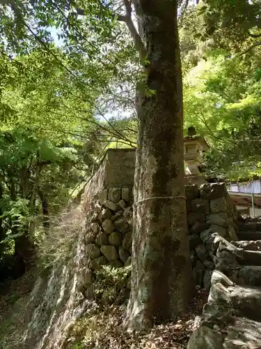 天神社の自然