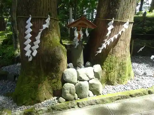 富士山東口本宮 冨士浅間神社の自然