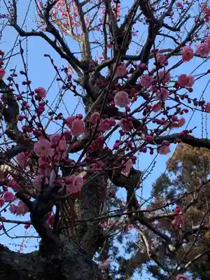 比呂佐和神社の自然