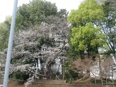 仙波氷川神社(埼玉県)