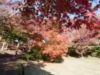 葭原観音堂の自然