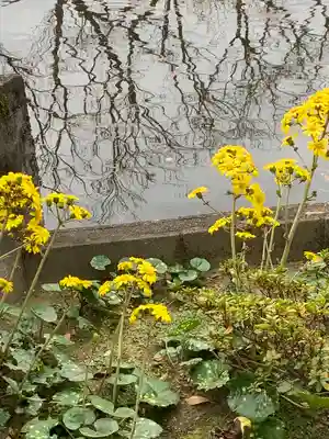 御嶽山 白龍神社の自然