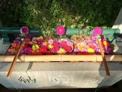 伊和志津神社(兵庫県)