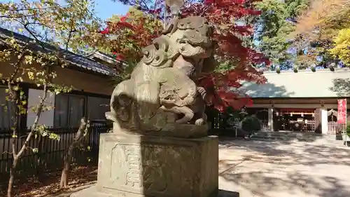 本太氷川神社の狛犬