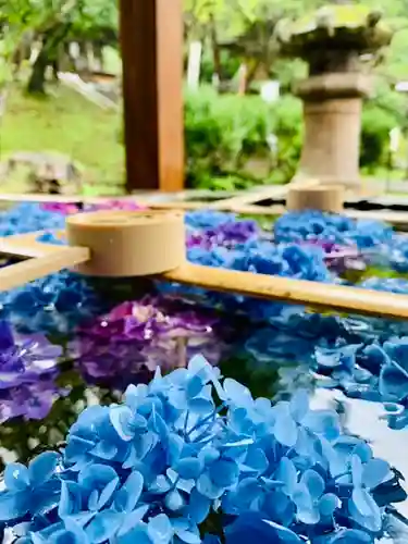 土津神社｜こどもと出世の神さまの手水舎