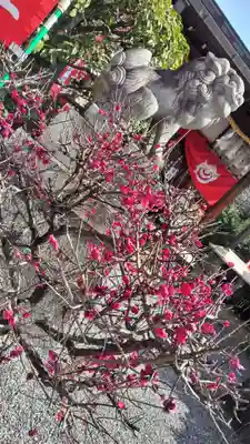 鎌達稲荷神社(京都府)