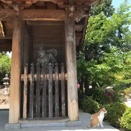 久米寺の像