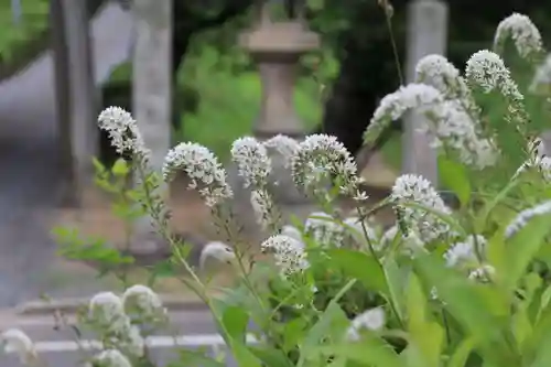 鹿島大神宮の自然