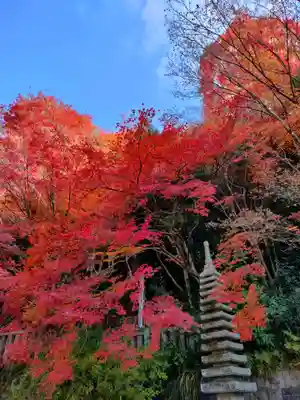 犬山寂光院の塔