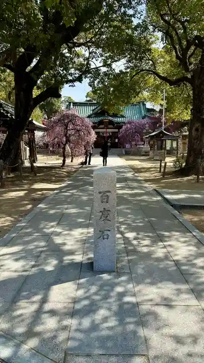 屯倉神社の{uncategorized: "未分類", other: "その他", undefined: "問題あり", building: "その他建物", grave: "お墓", sacred_gate: "鳥居", guardian: "狛犬", statue: "像", buddha: "仏像", history: "歴史", nature: "自然", garden: "庭園", animal: "動物", pagoda: "塔", temizu: "手水舎", mountain_gate: "山門・神門", sanctuary: "本殿・本堂", subordinate: "末社・摂社", art: "芸術", scenery: "景色", jizo: "地蔵", ema: "絵馬", goshuin: "御朱印", omikuji: "おみくじ", items: "授与品その他", amulet: "お守り", goshuincho: "御朱印帳", eats: "食事", festival: "お祭り", votive_dance: "神楽", shichigosan: "七五三参", wedding: "結婚式", experience: "体験その他", initially: "初詣", around: "周辺", anti_infection: "感染症対策"}