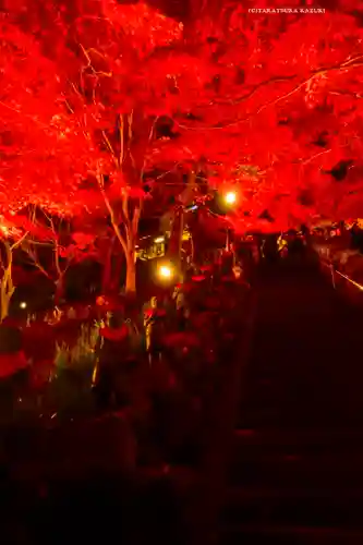 大山寺(神奈川県)
