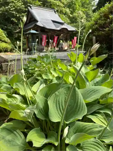 大聖寺（亀岡文殊）(山形県)