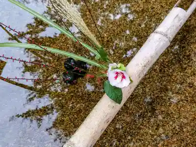 圓光寺のその他建物