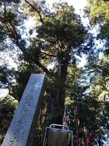 塩船観音寺の庭園