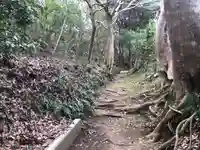 天満神社の自然
