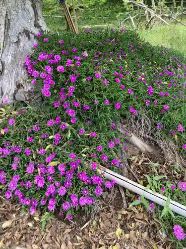 龍雲寺(神奈川県)
