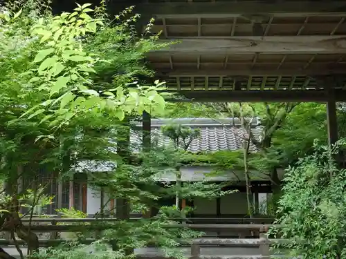 誕生寺の建物その他