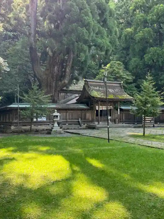 若狭姫神社(若狭彦神社下社)(福井県)