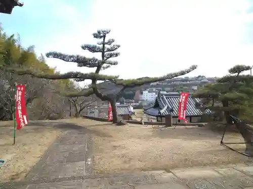 駕龍寺の庭園