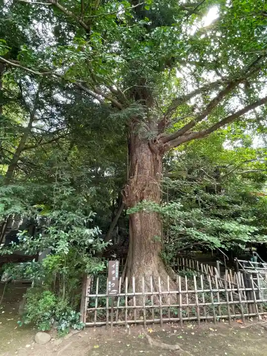豊顕寺(神奈川県)
