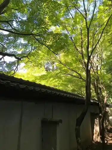 廬山寺（廬山天台講寺）のその他建物