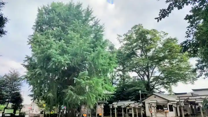 今宮神社(栃木県)