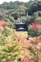 禅林寺(永観堂)(京都府)