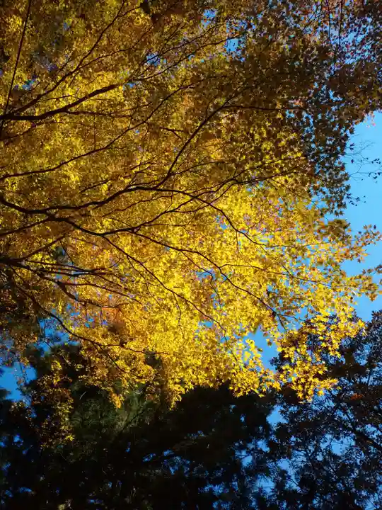 榛名神社の自然