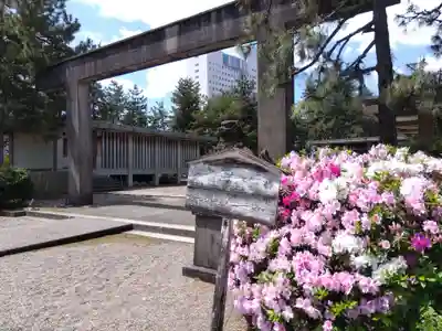 福井神社(福井県)