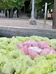 鹿島台神社の建物その他