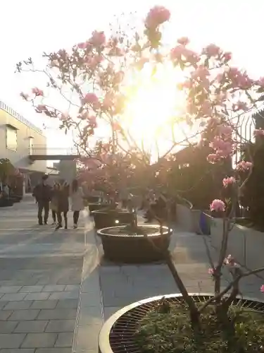 浅草寺のその他建物