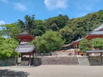 金剛寺(大阪府)