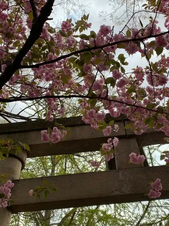 諏方神社の自然