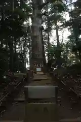 麻賀多神社の自然