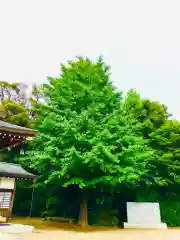 女化神社(茨城県)