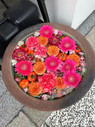 成田山深川不動堂（新勝寺東京別院）(東京都)