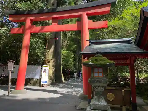 箱根神社の鳥居