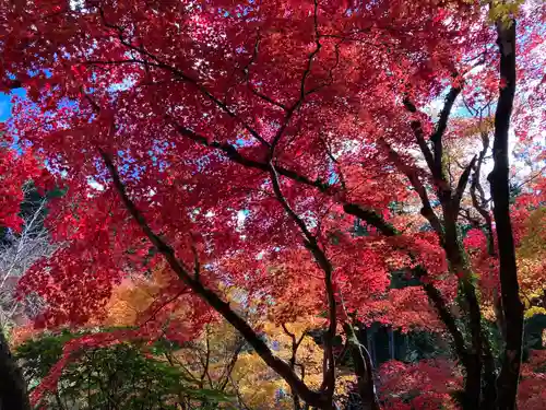 洞光寺(兵庫県)