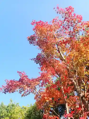 杉本寺(神奈川県)