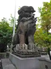 東神奈川熊野神社の狛犬