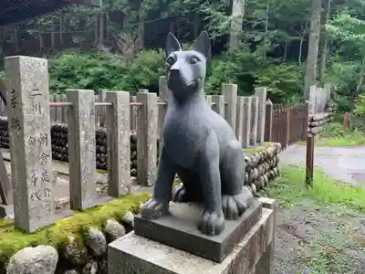 山住神社の狛犬