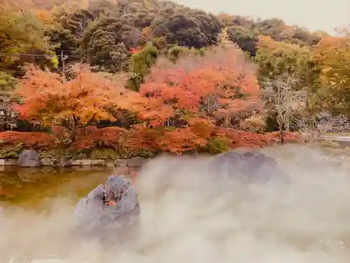 勝尾寺(大阪府)