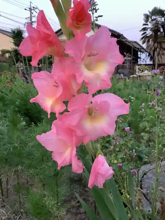 日輪寺(愛知県)