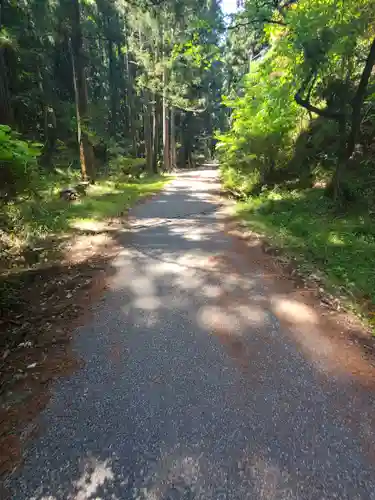 名草厳島神社の自然
