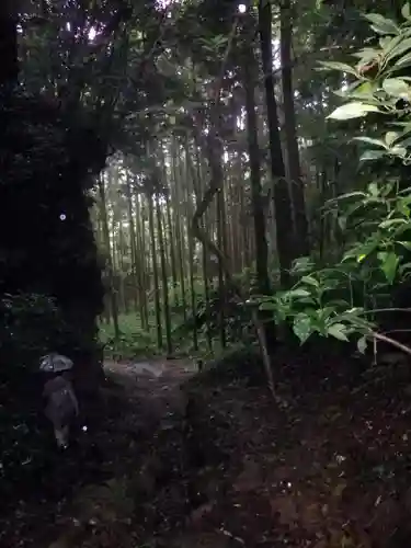 熊野神社の周辺