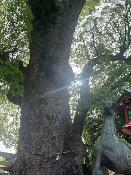 蟻通神社(和歌山県)