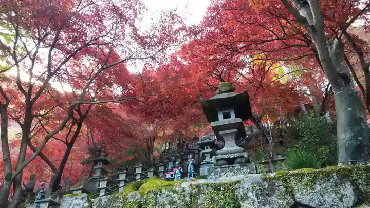 大山寺(神奈川県)
