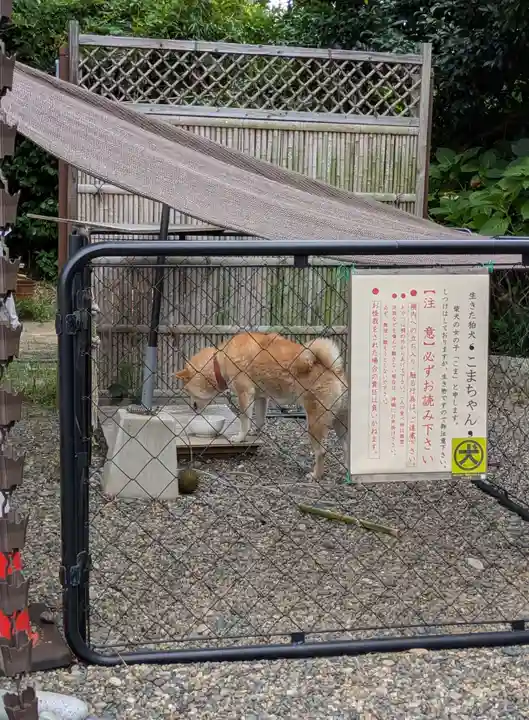 鶴峯八幡宮(千葉県)